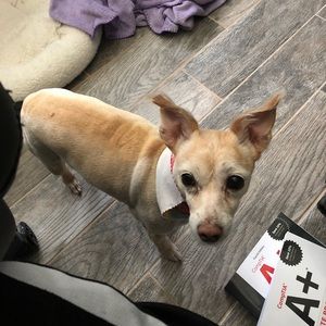 Meet your Posher, Dean